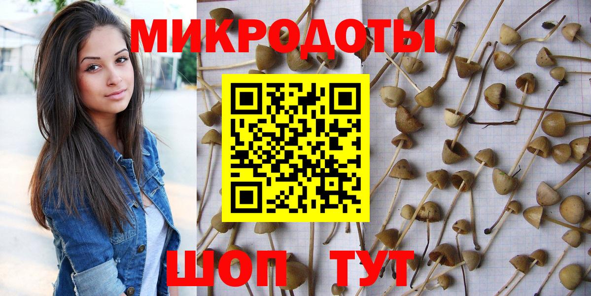 Галлюциногенные грибы Psilocybine cubensis Муравленко