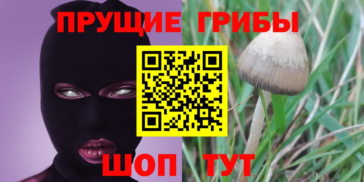 Муравленко  Псилоцибиновые грибы Psilocybe  Вход с VPN 